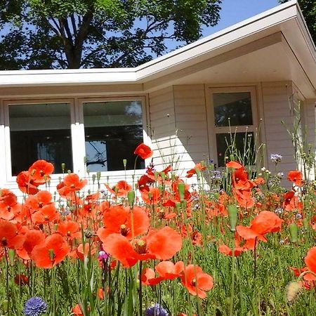 Villa Het Findament Tiny House Hilversum Esterno foto