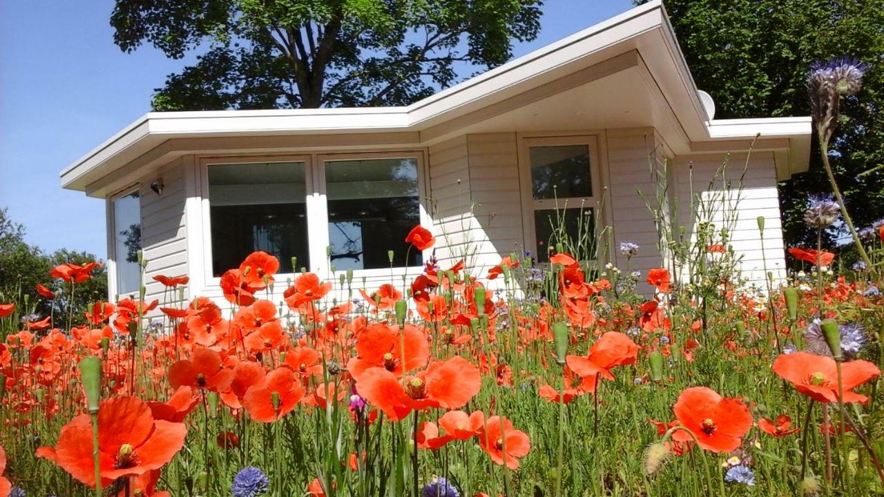 Villa Het Findament Tiny House Hilversum Esterno foto