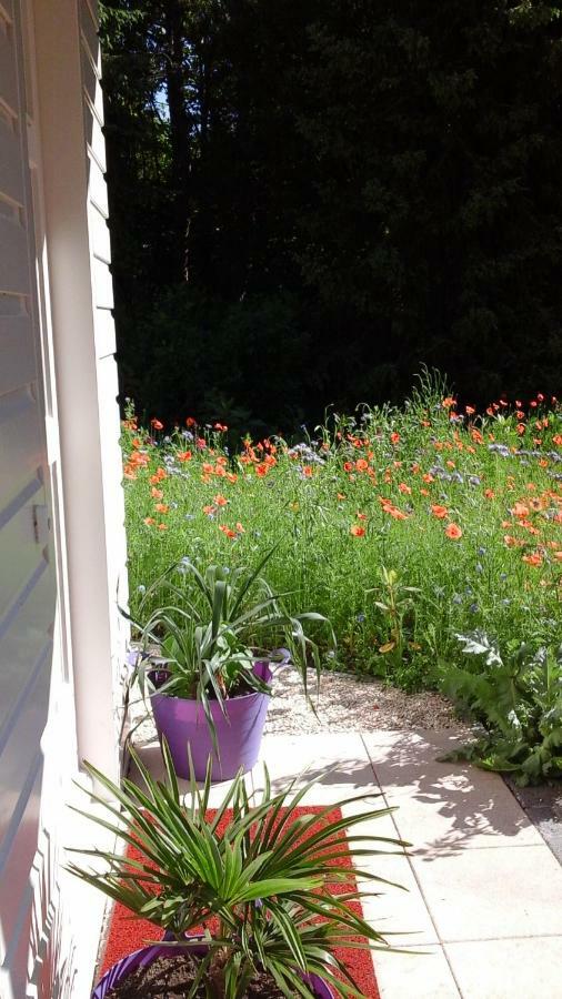 Villa Het Findament Tiny House Hilversum Esterno foto